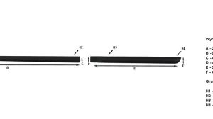 פסי קישוט קאיה ספורטאז